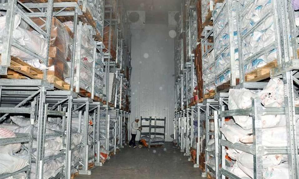 Centro de armazenamento Iglu