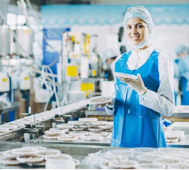 Linha de produção Iglu